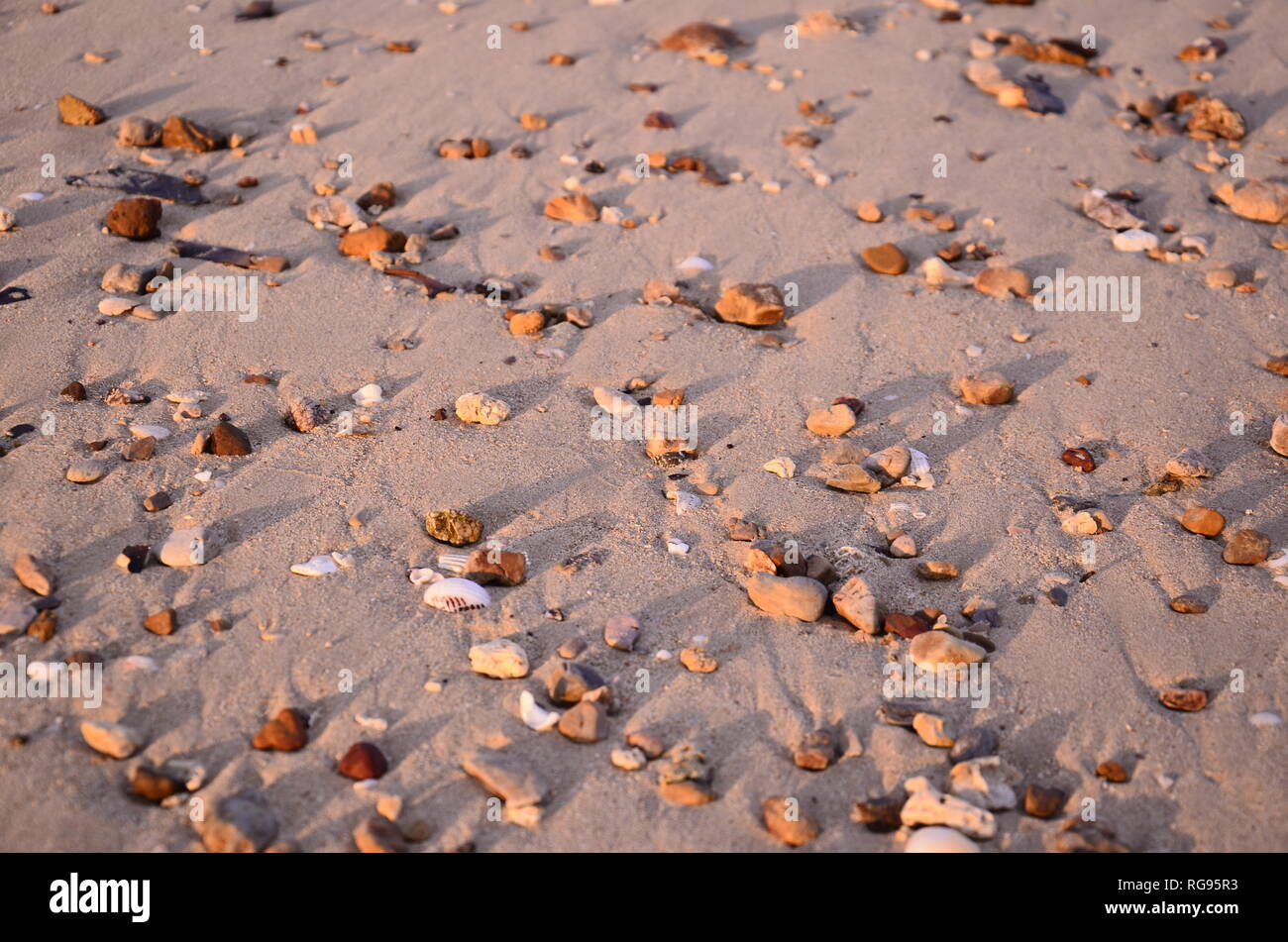 An den Strand und steine gespülte Muscheln im Abendlicht en Tailandia Foto de stock