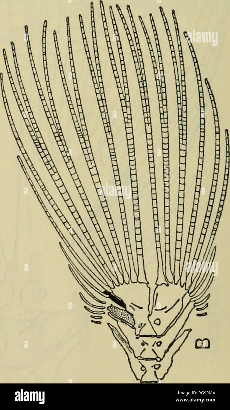 Boletin Museo Nacional De Los Estados Unidos La Ciencia Fe Oh A No R A A A A1 R Gt Zij Co Ca P3 Lt 2 3 Es A A Sa O S C3 Boletin Museo Nacional De Los Estados Unidos La Ciencia Fe Oh A No R A A A A1 R Gt Zij Co Ca P3 Lt 2 3 Es A A Sa O S C3