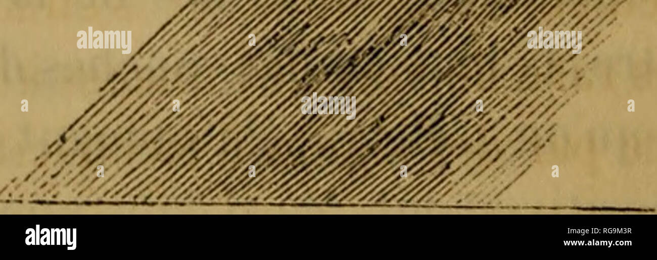 . Boletines de l'Académie Royale des sciences, des lettres et des beaux-arts de Belgique. (8) orageux élait entouré d'une couche électrique na©gative. L'épaisseur de celte couche ne doit pas être partout la mênfïe; car la tarifa positiva nuage du qui la Díaz©termine ou du moins qui la maintient (i), ne doit pas se trouver également répartie d'abord à cause de la forme plus ou moins anguleuse du nuage, et puis parce que, dans la partie supérieure du nuage, la tarifa sera refoulée en partie par l'électricité Camillas supérieures des de l'atmosphère. Cet effet sera d'autant pl Foto de stock