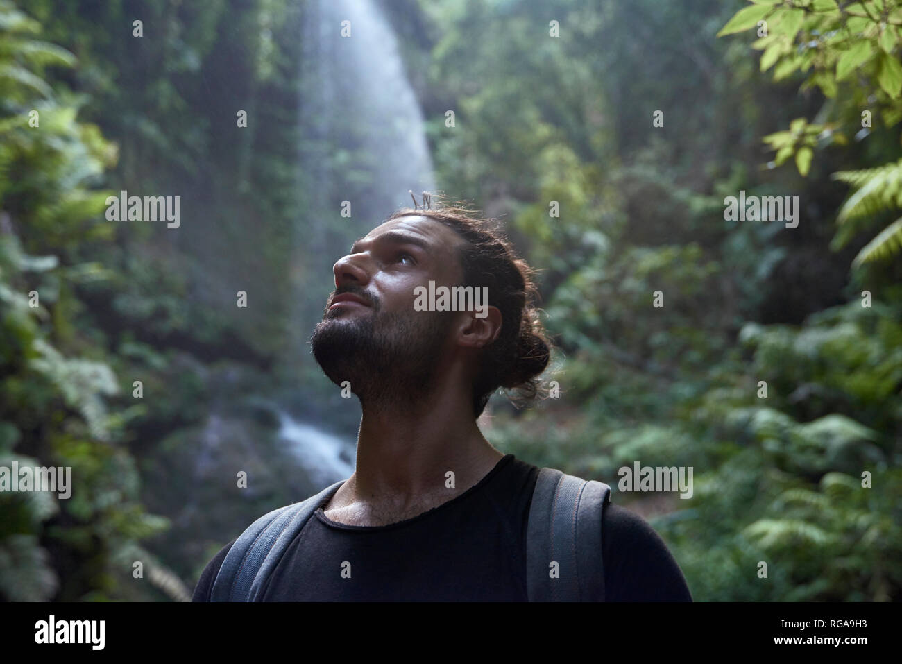 España, Islas Canarias, La Palma, cerca de hombre barbado cerca de una cascada en el bosque Foto de stock