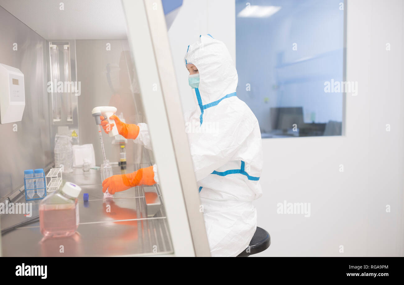 Técnico de laboratorio usando cleanroom trabajan en general cuadro laminar estéril Foto de stock