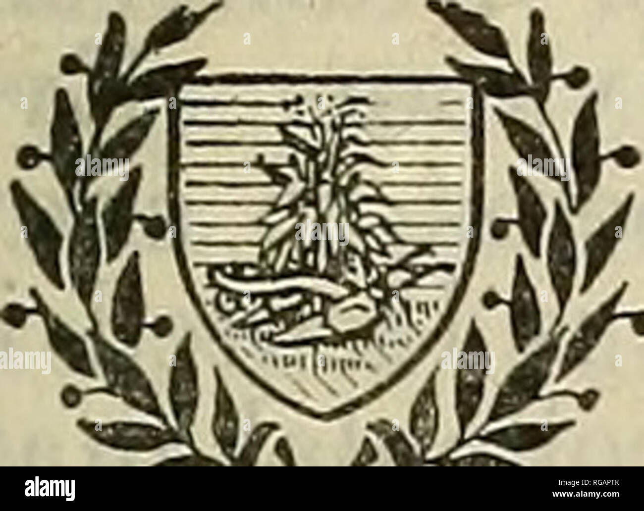 . Boletín del Departamento de Agricultura de Estados Unidos. La agricultura; la agricultura. Departamento de Agricultura de los Estados Unidos. ,F BOLETÍN nº 1122 del 1 de Washington, D. C. El papel profesional Octubre 21, 1922 POR ABSORCIÓN Y COLOIDAL NONCOLLOIDAL CONSTITUYENTES DEL SUELO. Bj^ M. S. Anderson, un científico de suelo en las investigaciones de laboratorio, W. H. Fry, un científico de suelo en el Laboratorio, P. L. había engaño, Asistente a cargo de investigaciones químicas del suelo, H. E. Middleton, Científico de Investigaciones Físicas en el suelo, y W. O. Robinson, un científico de suelo en el Laboratorio, Mesa de suelos. Contenido. Página. Yo Pag Foto de stock