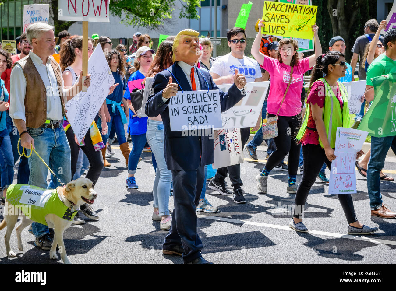 Abril 14, 2018 Sacramento / CA / EE.UU. - Los participantes a la marcha de la ciencia y el impuesto sobre la marcha Capitol Mall; una persona suplantando a Trump Foto de stock