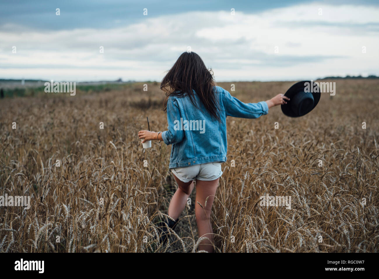 Vista posterior de la mujer joven con bebidas y hat caminar en el campo de maíz Foto de stock