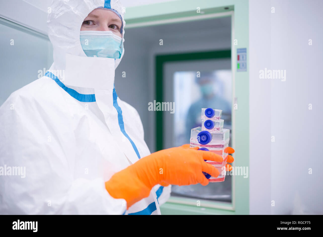 Técnico de laboratorio usando cleanroom celebración global de contenedores en material esclusa Foto de stock