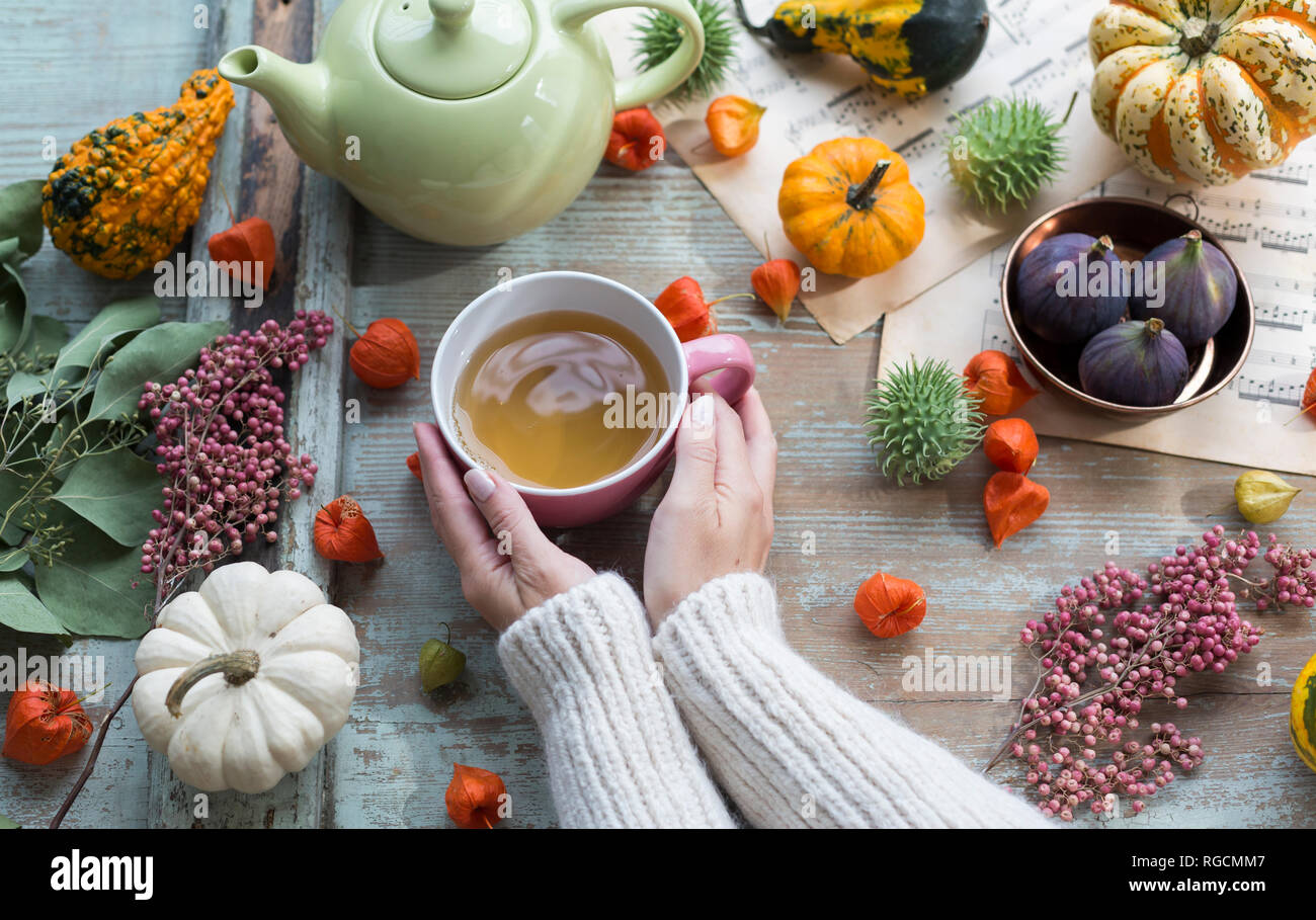 Mujer calentando sus manos en la taza de té en otoño Foto de stock