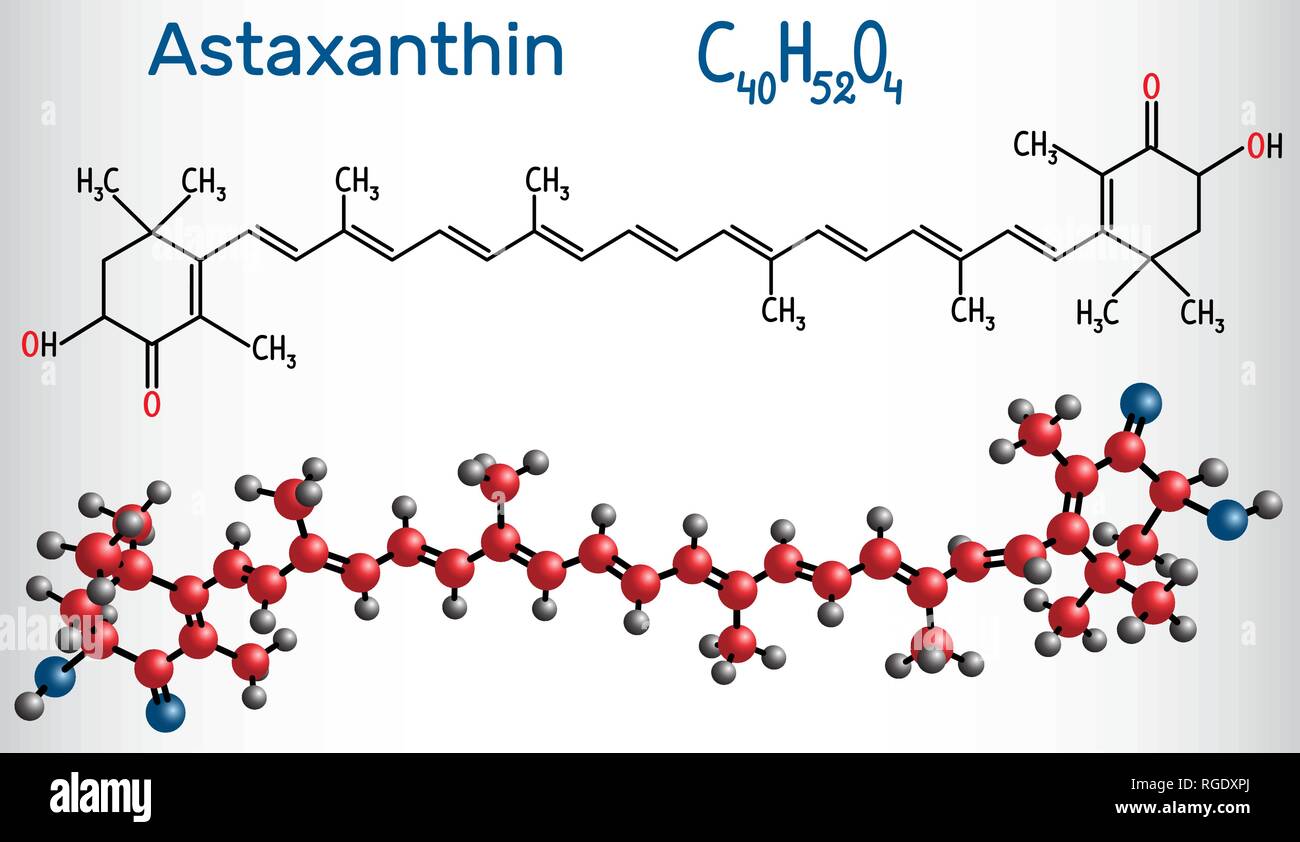 La astaxantina es un carotenoide-ceto. Pertenece a la clase de terpenos químico Fórmula química estructural y modelo de molécula. Ilustración vectorial Ilustración del Vector
