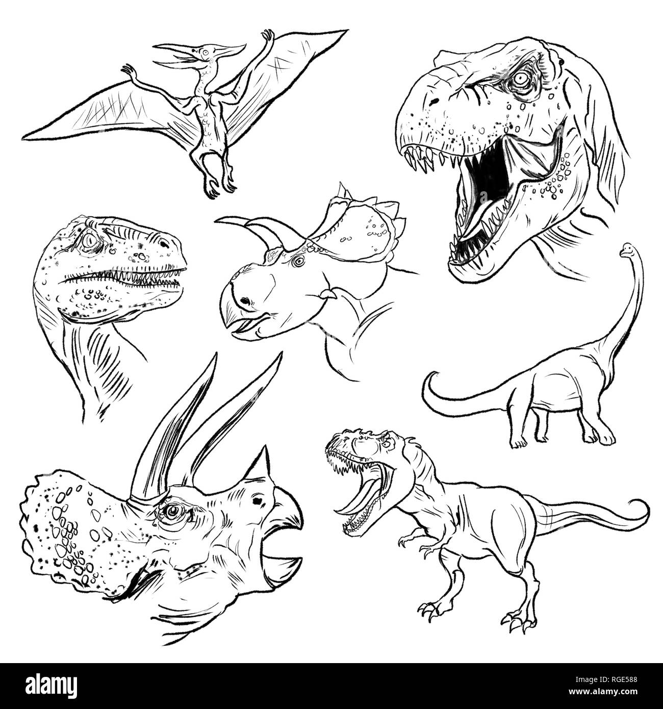 Página De Dinosaurios Variados Dibujos Line Art Fotografía De Stock Alamy 9031