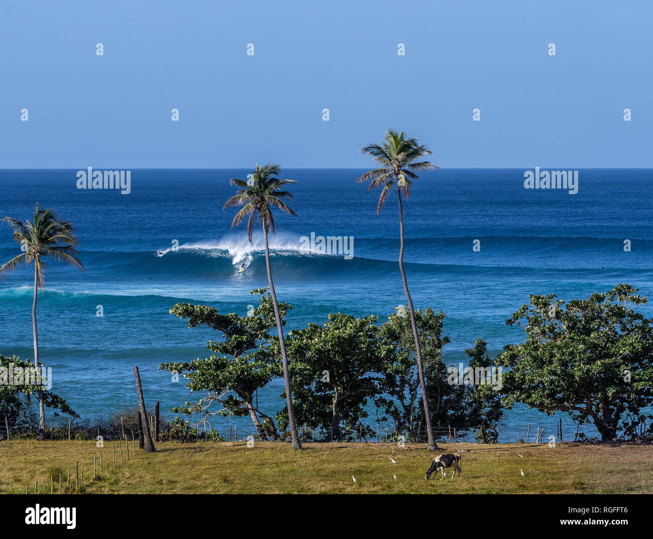 Surf tres palmas puerto rico Fotografía de stock - Alamy