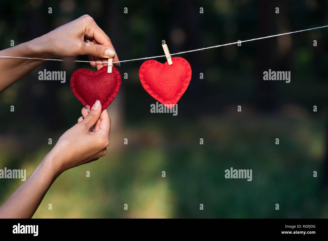 Concepto para el Día de San Valentín con copia espacio para el texto. La niña confiesa en amor. Dos corazones rojos en el fondo de la naturaleza Foto de stock