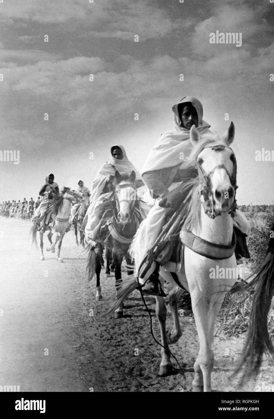 Desierto cavalrymen, 1939-45 Foto de stock