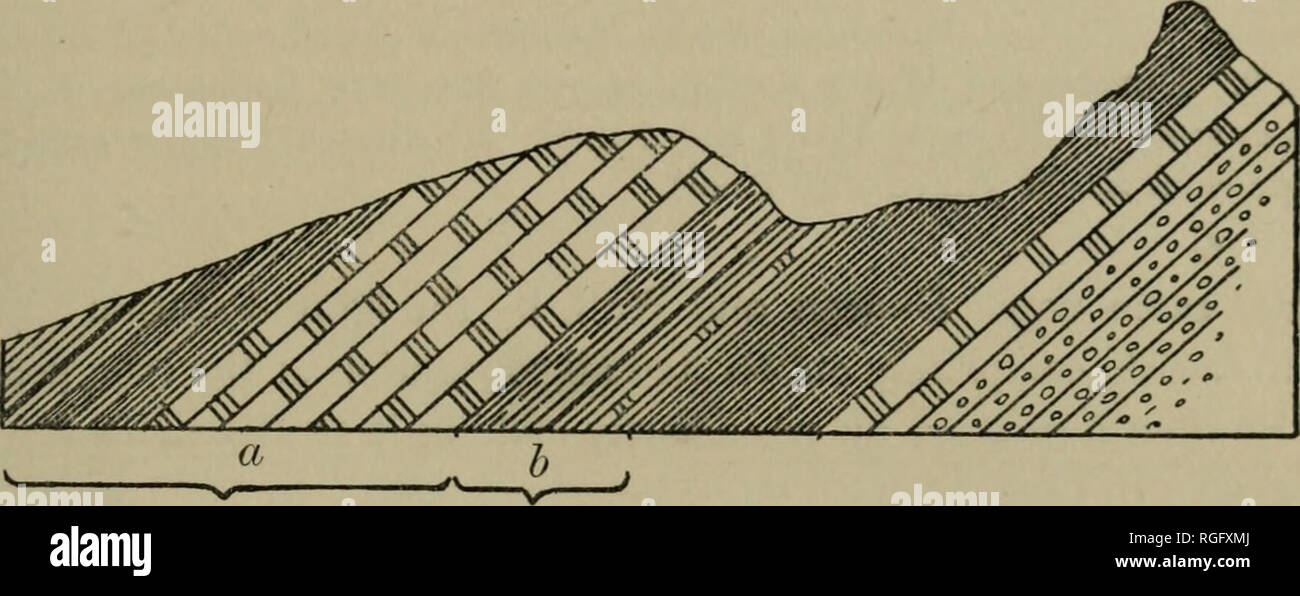 Boletín del Museo de Zoología Comparativa de Harvard College. Zoología;  Zoología. hill: geología de Jamaica. 11 de piedra caliza por Brown, que  podemos llamar sliall la formación de Cambridge. Woodward, en