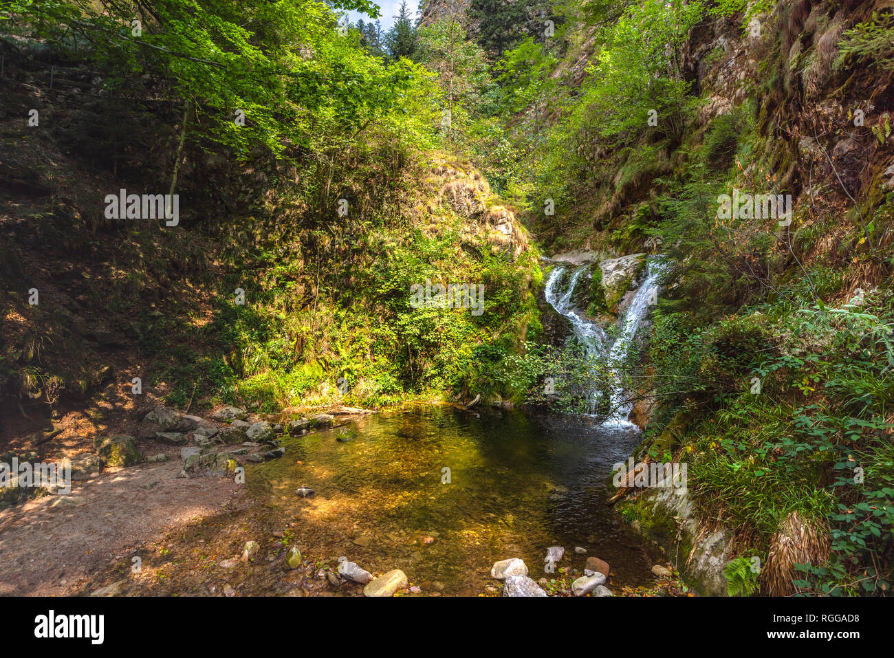 Cascadas de todos los Santos, ciudad Oppenau, Norte de la Selva Negra, Alemania, sección inferior de las cataratas Foto de stock