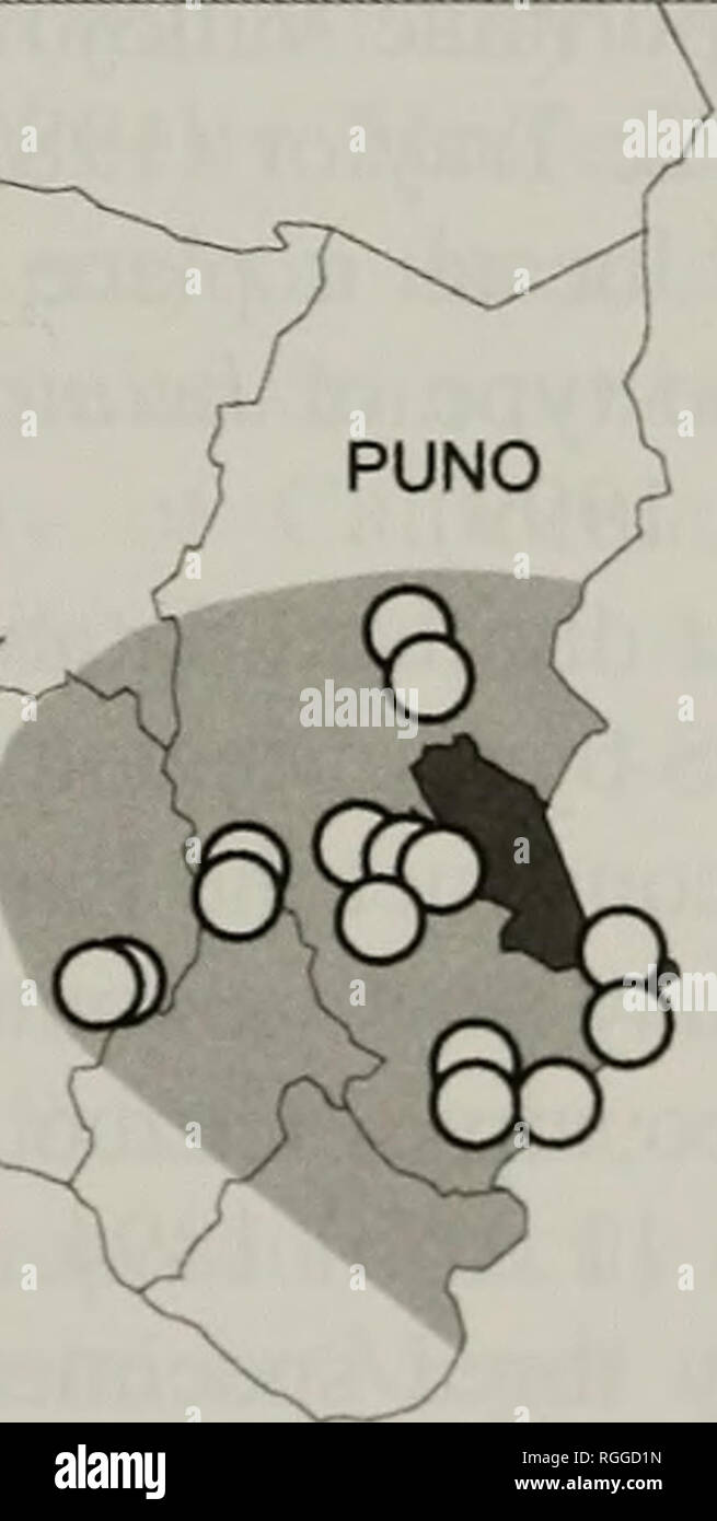 Branickii fotografías e imágenes de alta resolución Alamy