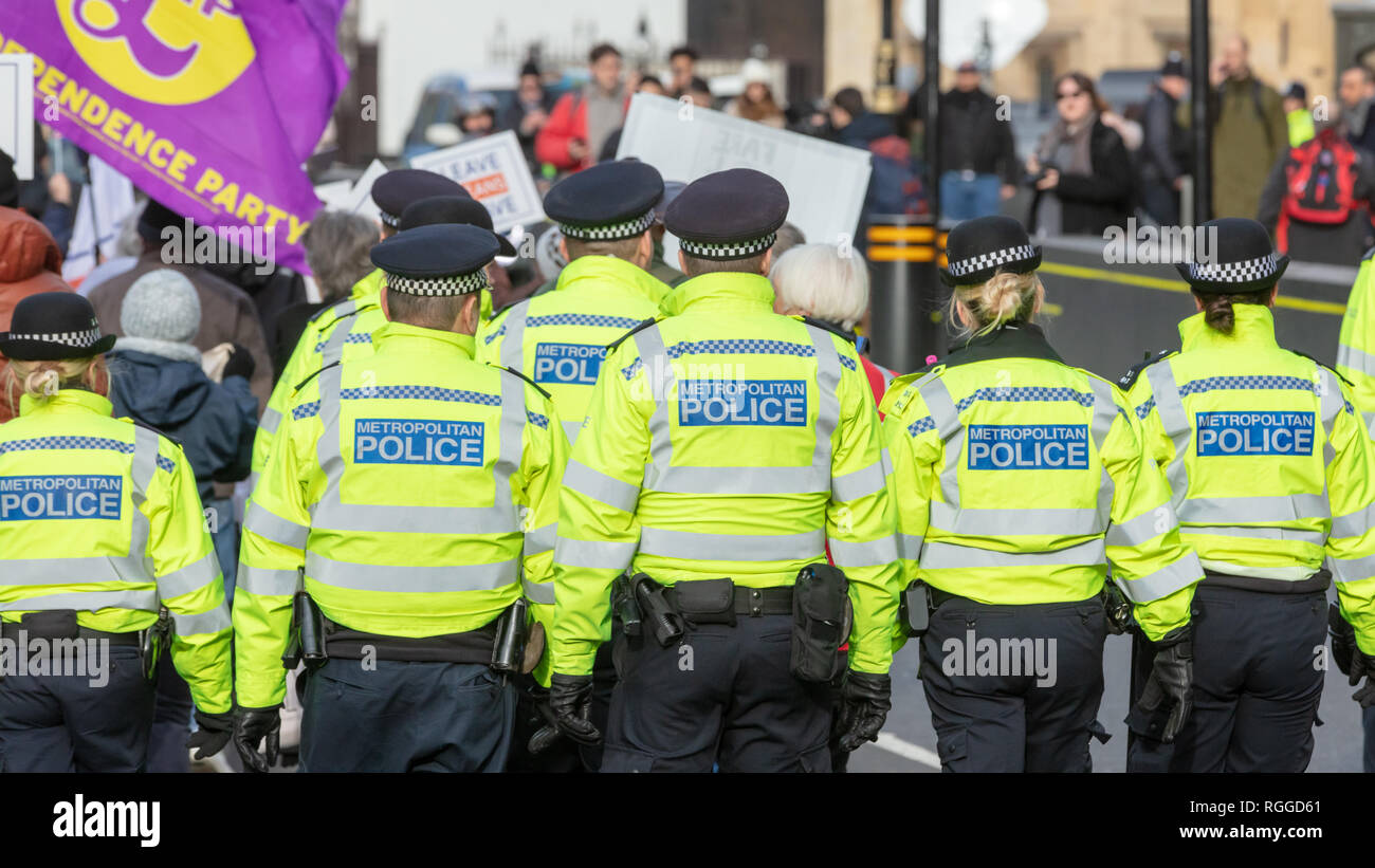 Westminster, Londres, Reino Unido; el 29 de enero de 2019; el grupo de funcionarios de la Policía Metropolitana la policía una manifestación Pro-Brexit fuera del parlamento Foto de stock