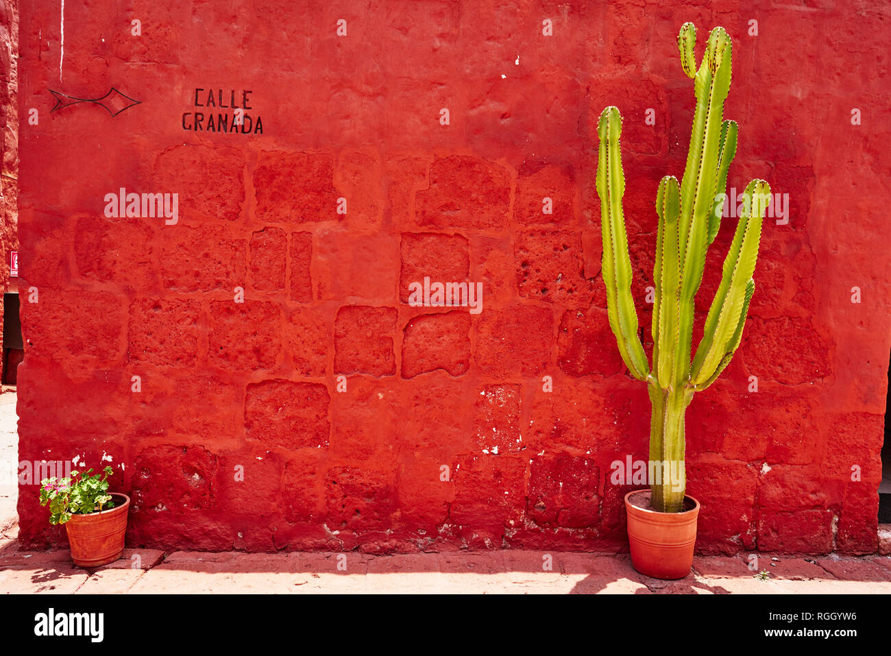 Perú, Arequipa, pared roja con cactus en el monasterio de Santa Catalina Foto de stock