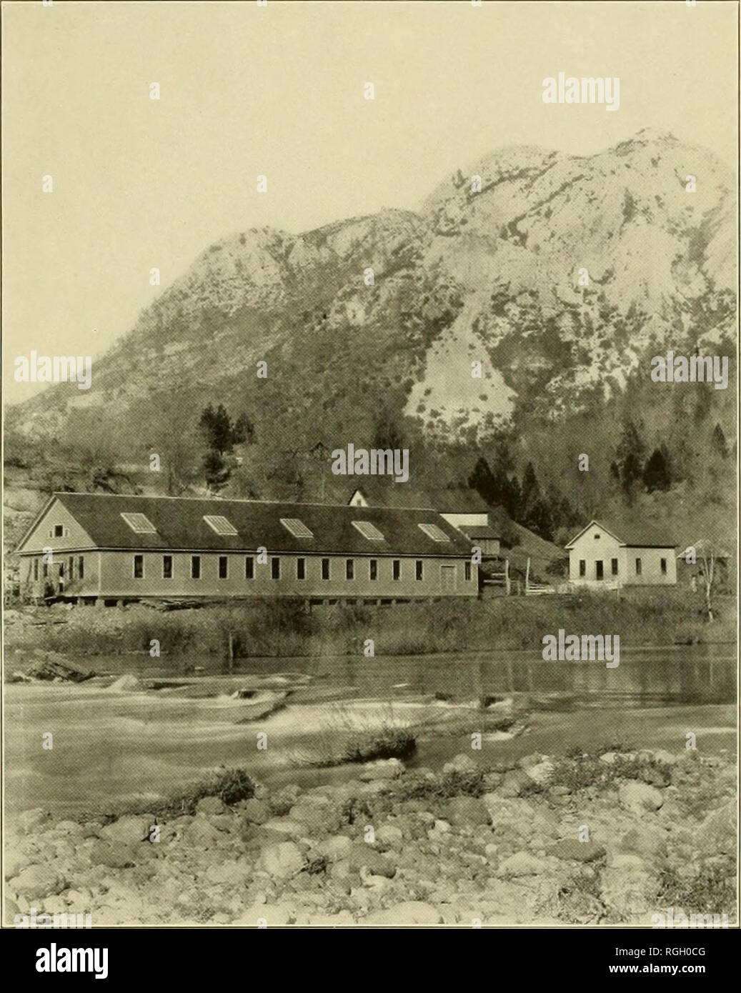 . Boletín de la Oficina de Pesca. Pesca; el cultivo de peces. BuL. U. S. B. F., 1908. Placa CUV. El salmón de criadero en Baird, Cat, el salmón de criadero pionero en la costa del Pacífico, ubicado en el río McCloud, un flujo rápido formado por el derretimiento de la nieve en el monte Shasta. La estación puede albergar 25 millones de huevos en un momento dado, y en 1907-S produjo unos 5 millones de jóvenes o chinook salmón quinnat eyed y 10 millones de huevos. Operaciones de tliis criadero y sus auxiliares en Battle Creek y Mill Creek (73'^ rriillion huevos del Salmón Chinook fueron tomadas en 1907) ha sido el principal factor en m Foto de stock