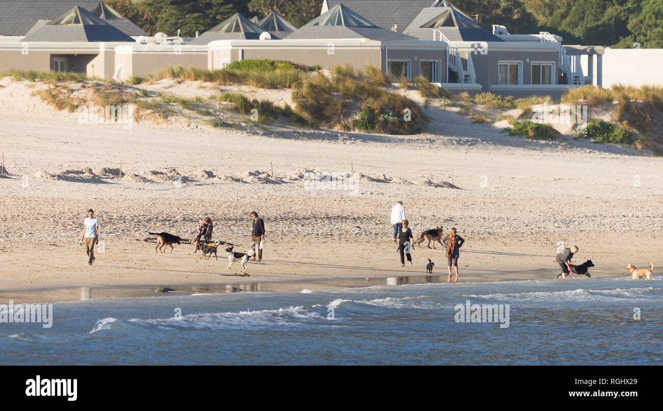 Sillitas de playa y paseadores de perros en Hout Bay Beach, en una soleada tarde de otoño en Cape Town, Sudáfrica Foto de stock