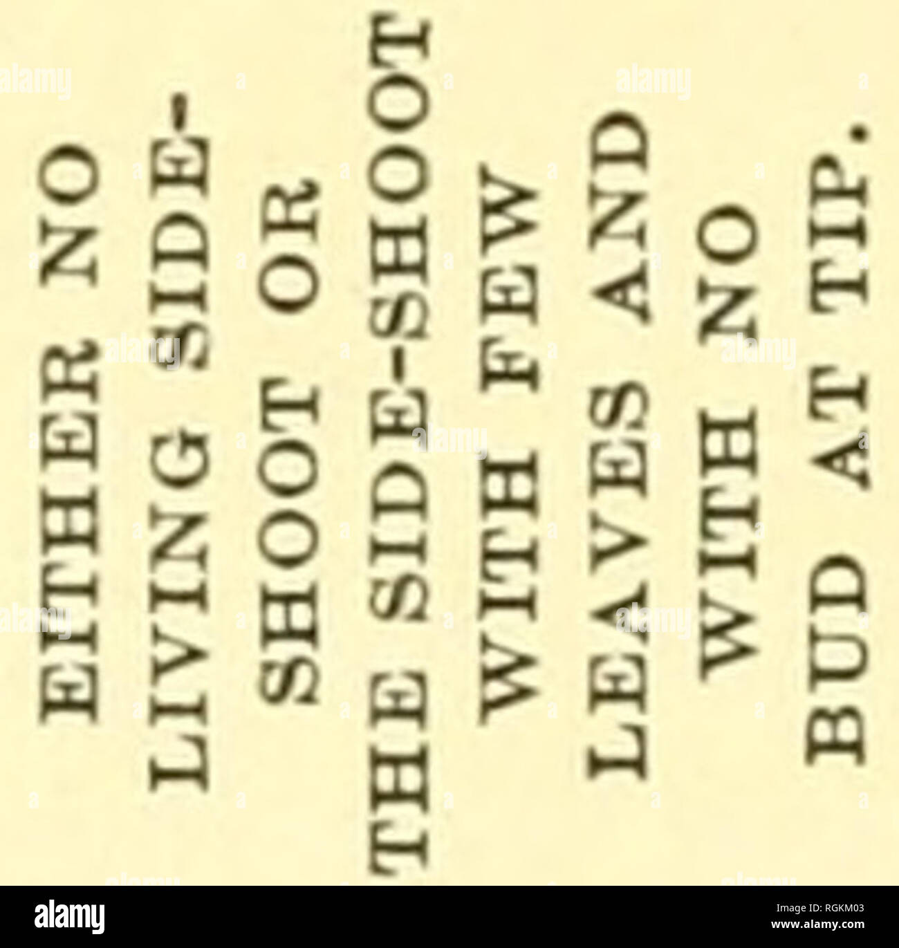 S E 5a Fotos E Imagenes De Stock Pagina 6 Alamy