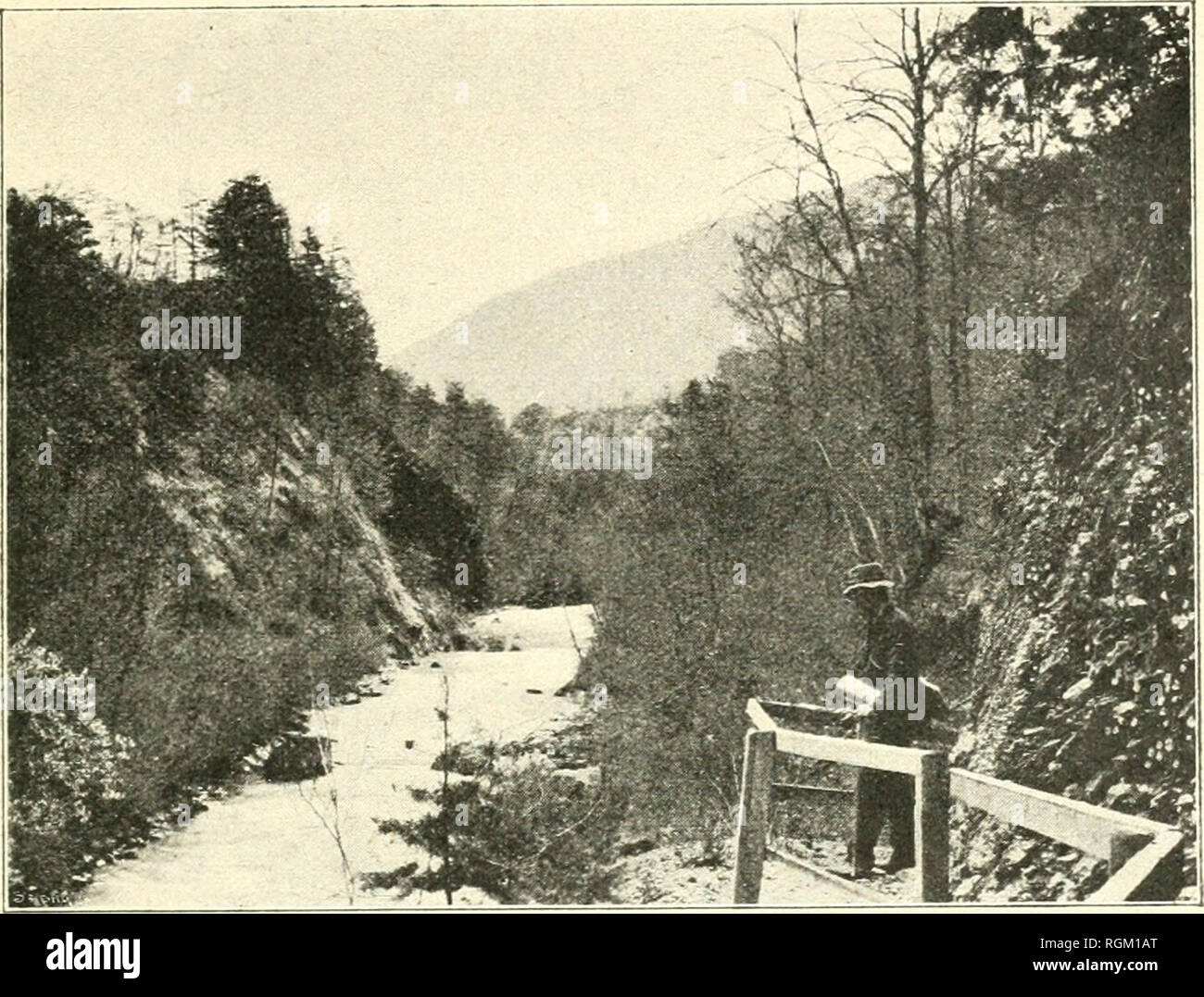 . Boletín de la Socit botanique de Genve. Las plantas; Plantas -- Suiza. (25) i. BEAlVEItL). FI.OHE VERKALE DE I,A TARENTAISE KH Bains, ONU sentier reliant cette localité au pont de Salins un été élaldi dans le romantique du Vallon Doron, tout embaumé des Senteurs premières des aulnes et de mille sèves printanières. VOnonis rohindifolia.. Fig. XI. - RIVES DU DORON ENTRE NOVIAS ET SALINS (env. 500 m.) : à di-oite, rochers à Pingvicula alpina et BeUidiastrum Michelii sous couvert de hêtres silvestres, charmes, pasadores, etc.; nombreux hybrides de Viola mirabilis X sîlvatica. [Phot. Ph. Gui Foto de stock
