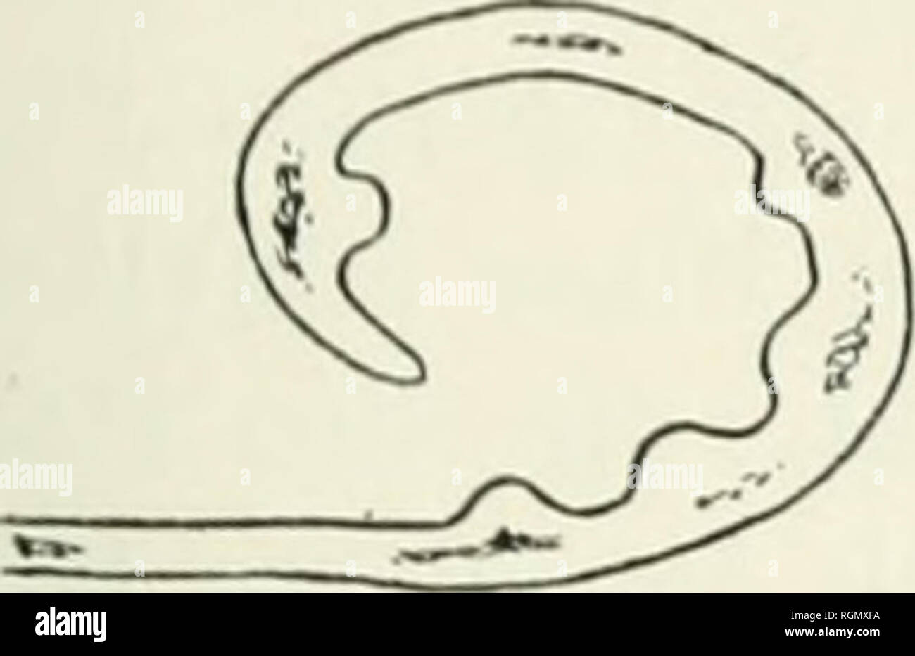 Dirin Fotos E Imagenes De Stock Alamy