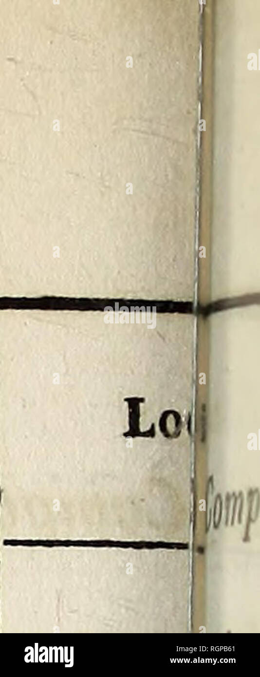 Vinca L Fotos E Imagenes De Stock Alamy