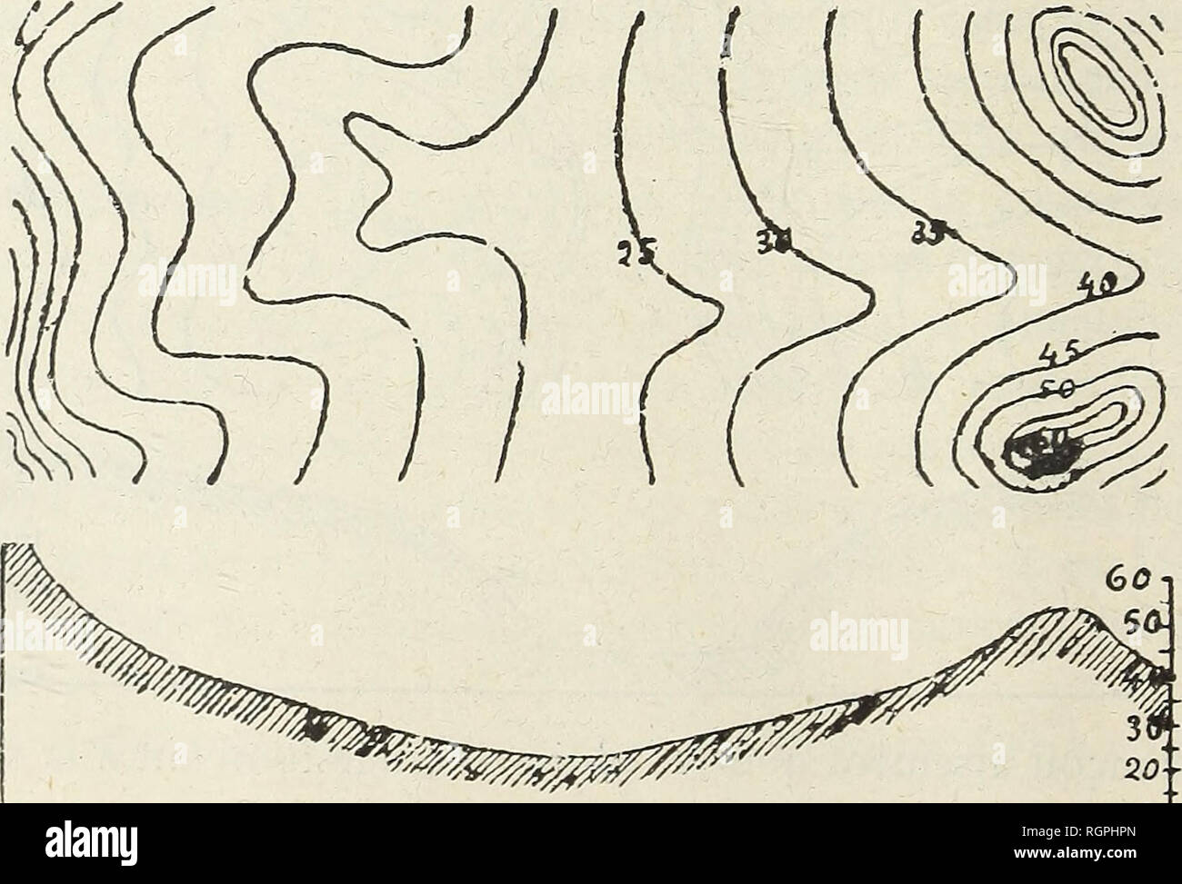 Limons Fotos E Imagenes De Stock Alamy