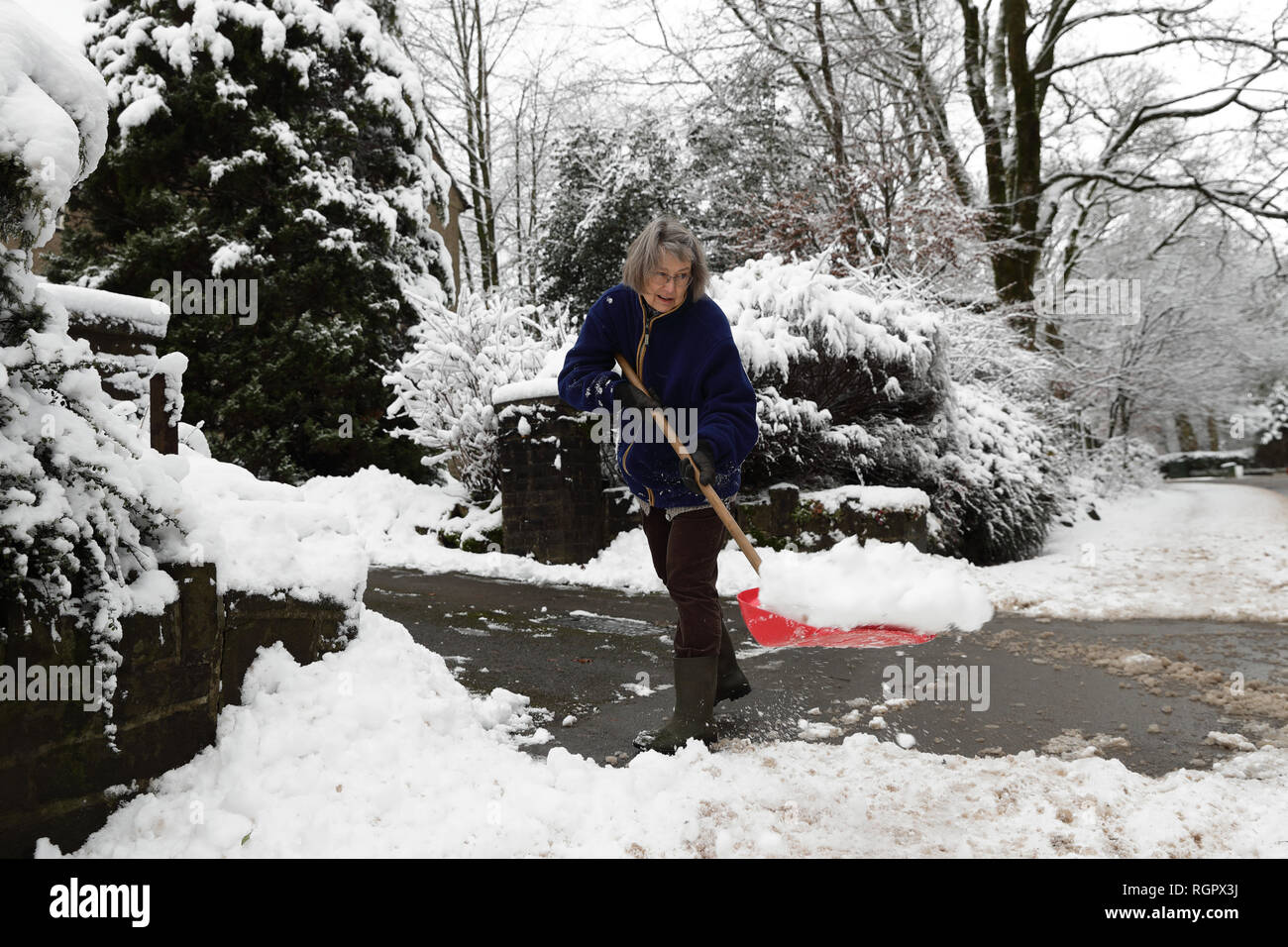Sarah Filcek palas de nieve fuera de su casa en Buxton, Derbyshire, Gran Bretaña se prepara para la noche más fría del invierno tan lejos, con nevadas 'sensible' probable que cause más demoras de viajes y el cierre de las escuelas. Foto de stock