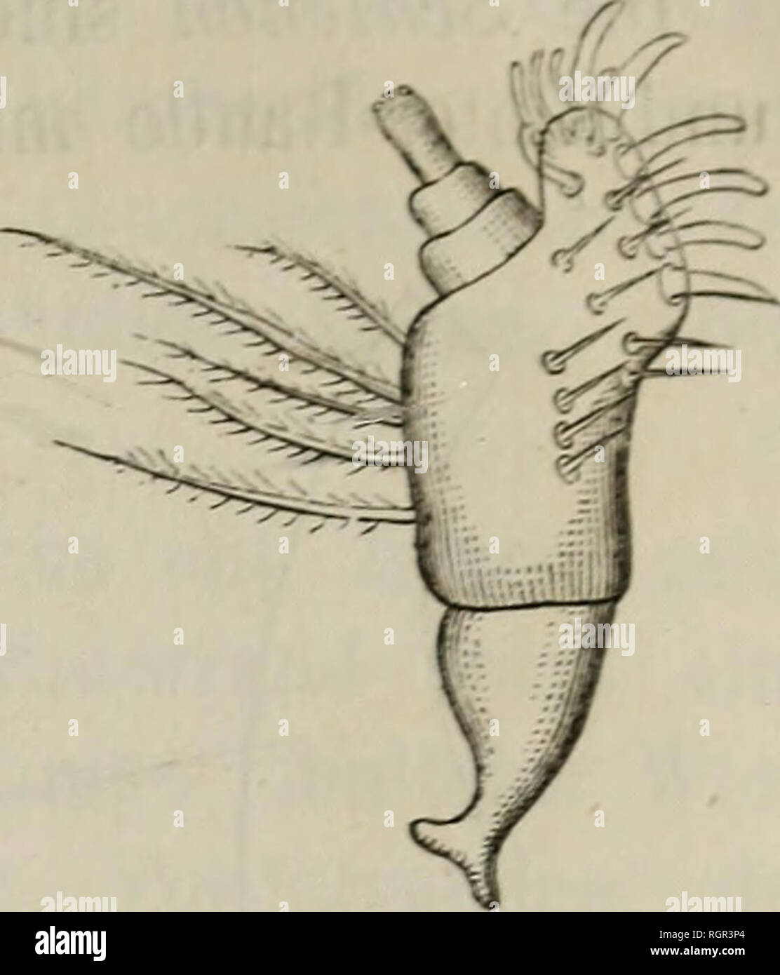 . Bulletin de la Société impériale des naturalistes de Moscou. La