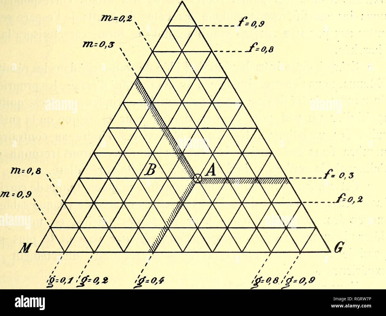 Boletin De La Socia C Ta C Belge De Ga C Ologie De Pala C Ontologie