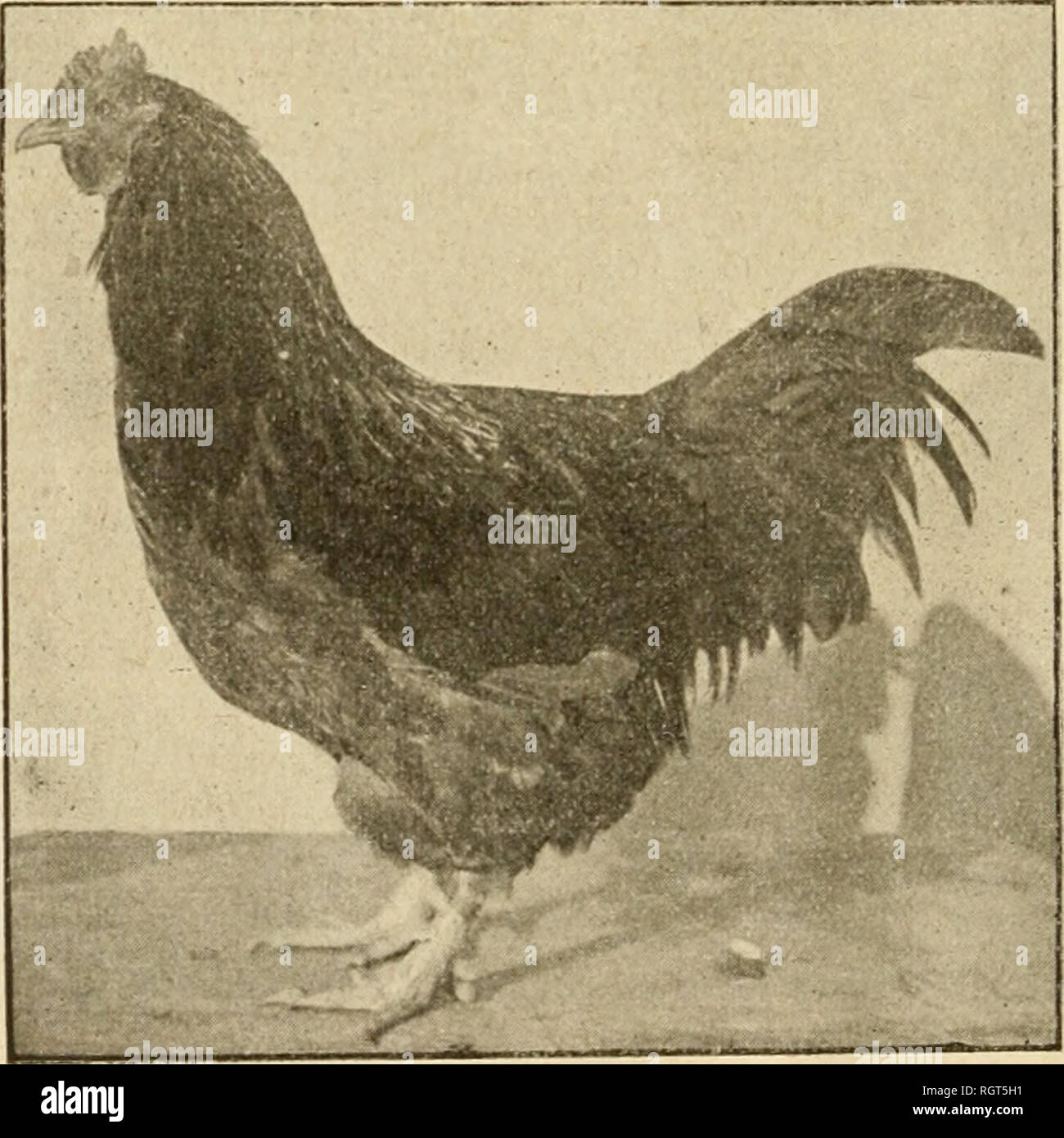 Aoa 2 Fotos E Imagenes De Stock Pagina 3 Alamy