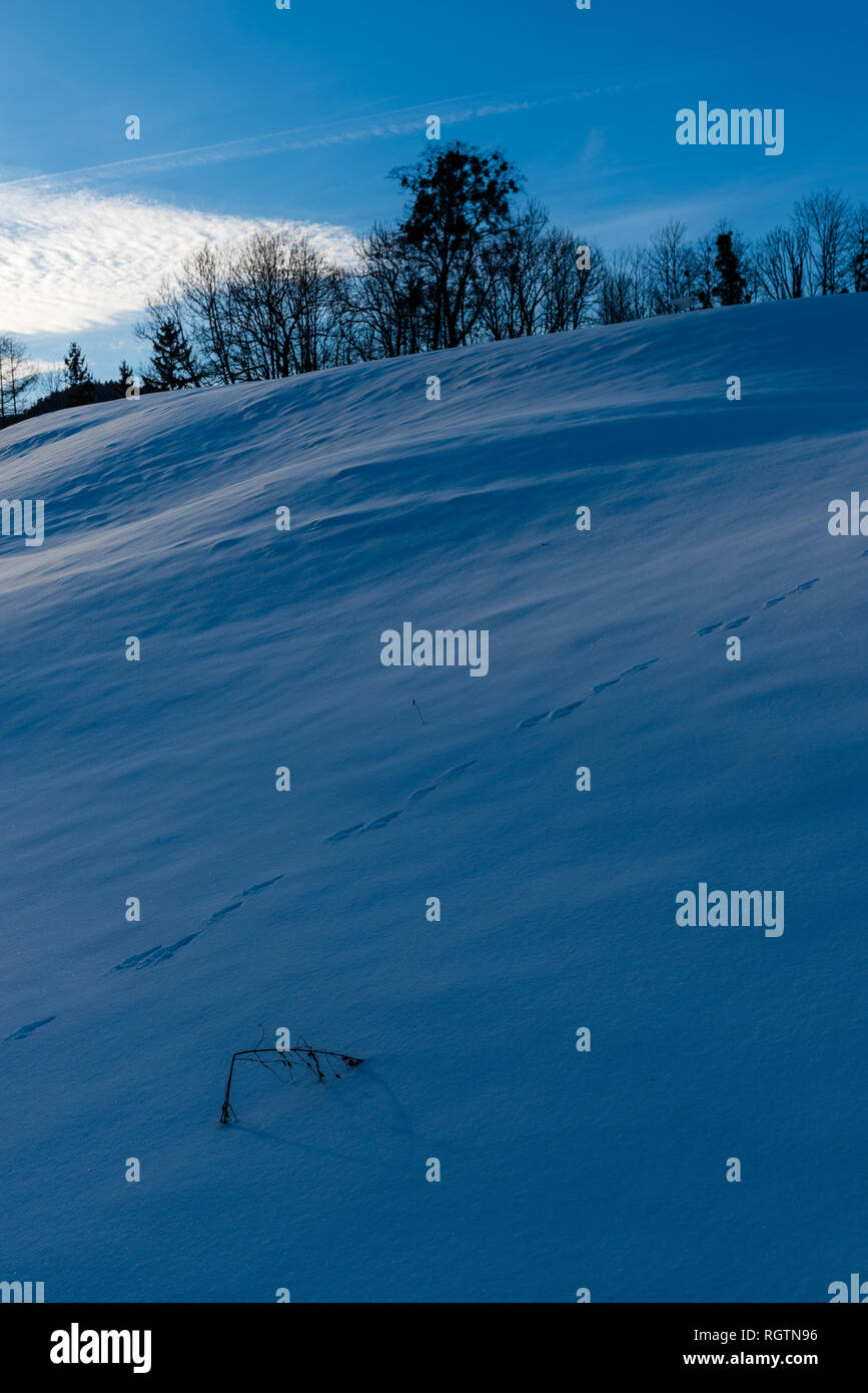 Últimos rayos de sol sobre un Campo de Nieve en Bayrisch Gmain, Baviera, Alemania Foto de stock