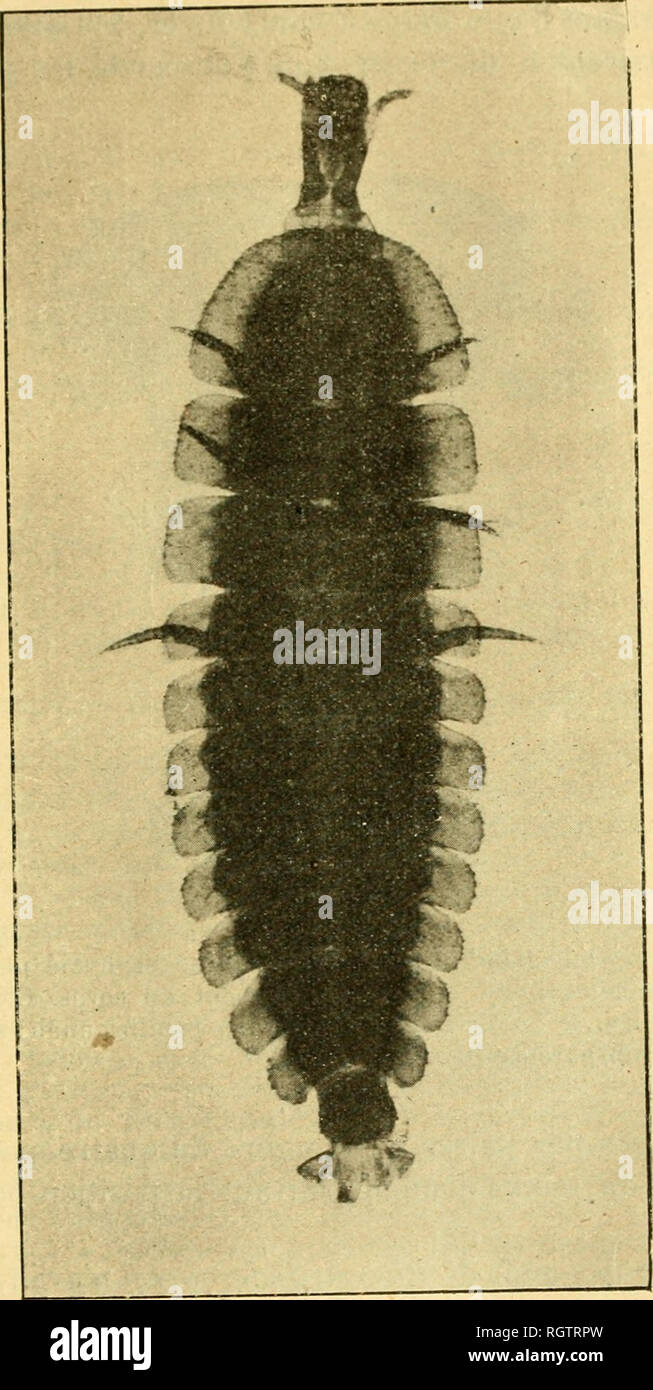 Forma D Fotos e Imágenes de stock - Página 9 - Alamy