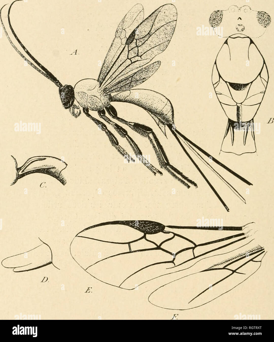 Boletín Biologique De La France Et De La Belgique Biología - 