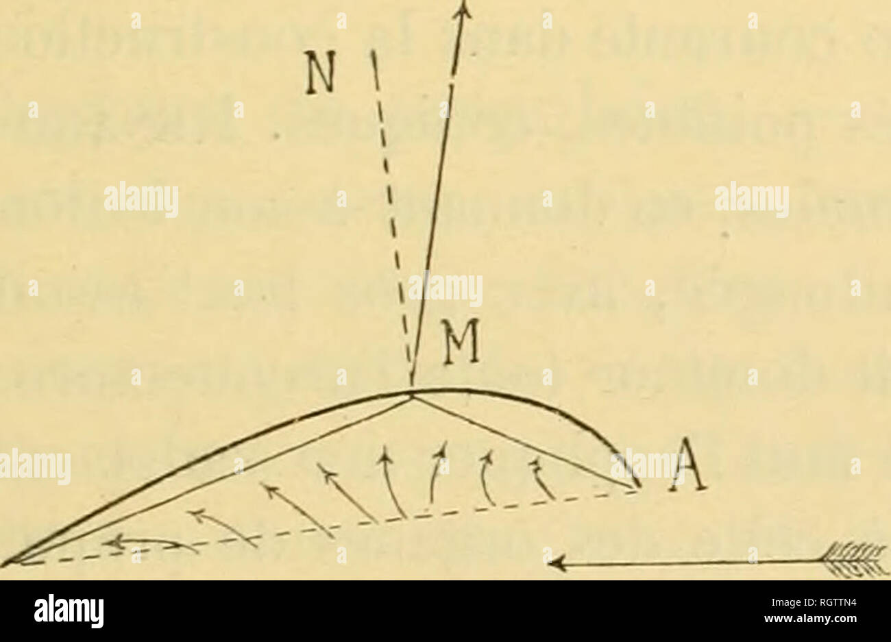 Boletín Biologique De La France Et De La Belgique Biología