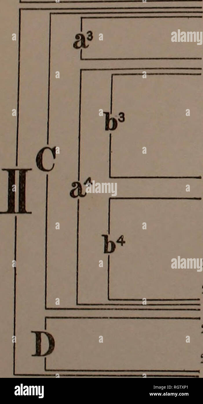 . Boletín. Los insectos, plagas de insectos; Entomología; Insectos; Las pestes del insecto; Entomología. Bui. 83, Parte I, Bu i de entomología, U. S. Dcpt. De Agfic i 1 1 A a2b c2 B L Posición dudosa- 5 § 2a 1. brencomis Lee. 1. Western Pine Escarabajo. 2 barberi Hopk. 2. Sudoeste de escarabajo de pino. 3. convexifrons Hopk. 3. Pino Eoundheaded Escarabajo. ). Frontalis Zimm. 5. arizonicus Hopk. 4. Escarabajo de pino del sur. 5. Escarabajo de pino de Arizona. 6. mexicanw Hopk. 6. Pequeño Escarabajo de pino mexicano. 7. parallelocoUis Capítulo 7. Escarabajo de pino mexicano de mayor tamaño. 8. approximulws Dietz. 8. Pino Colorado 9. monliculx Hopk. Hola. panderosx Hopk. Jr 11. Foto de stock