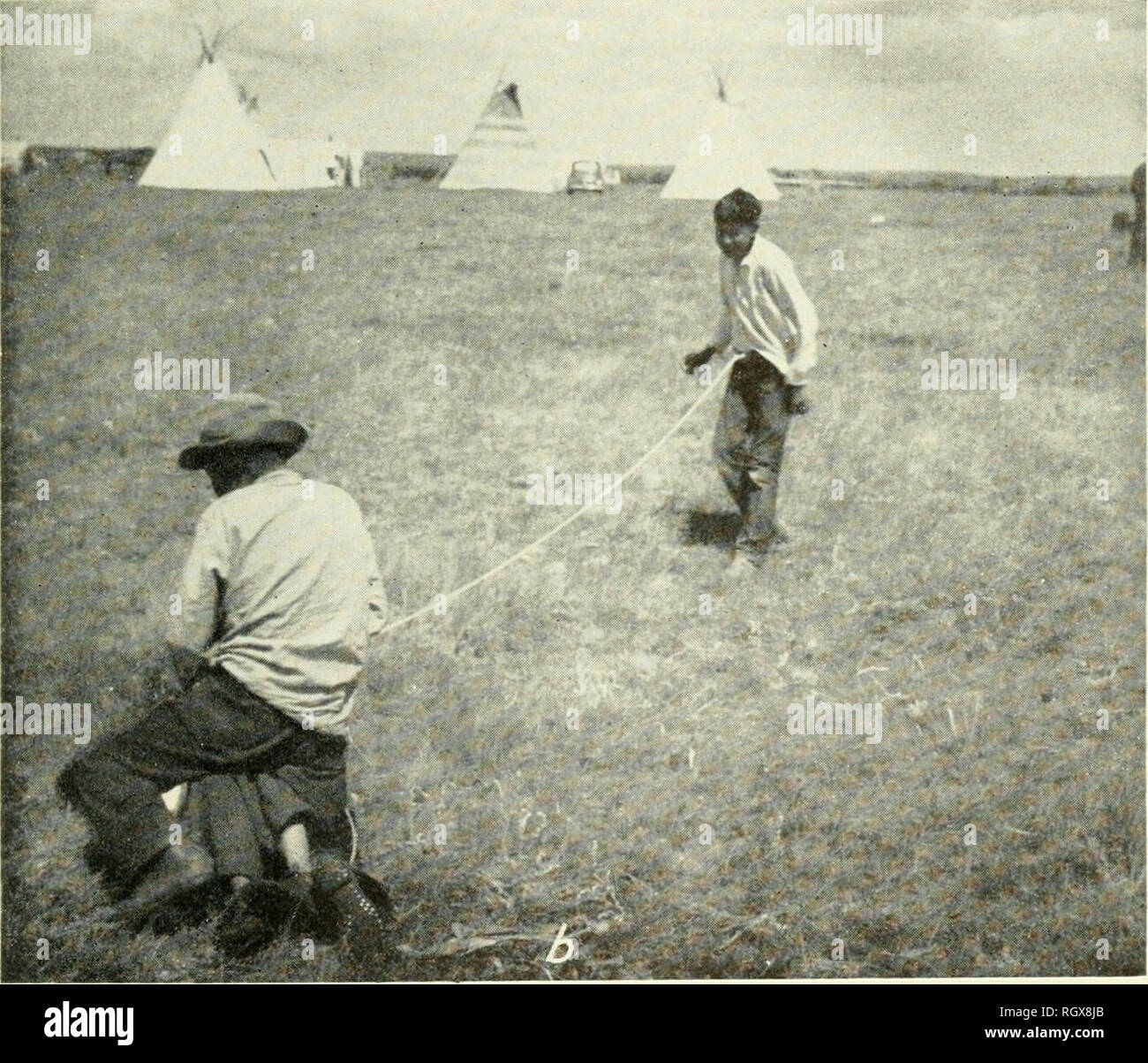 Boletin Etnologia J A Juguete Infantil Caballo De Sauce Doblados Realizado En 1942 Despues De Un Viejo Patron Piegaii Cortesia De Miss Jane Ewers I Piegan Muchachos Jugando Ternera Roping