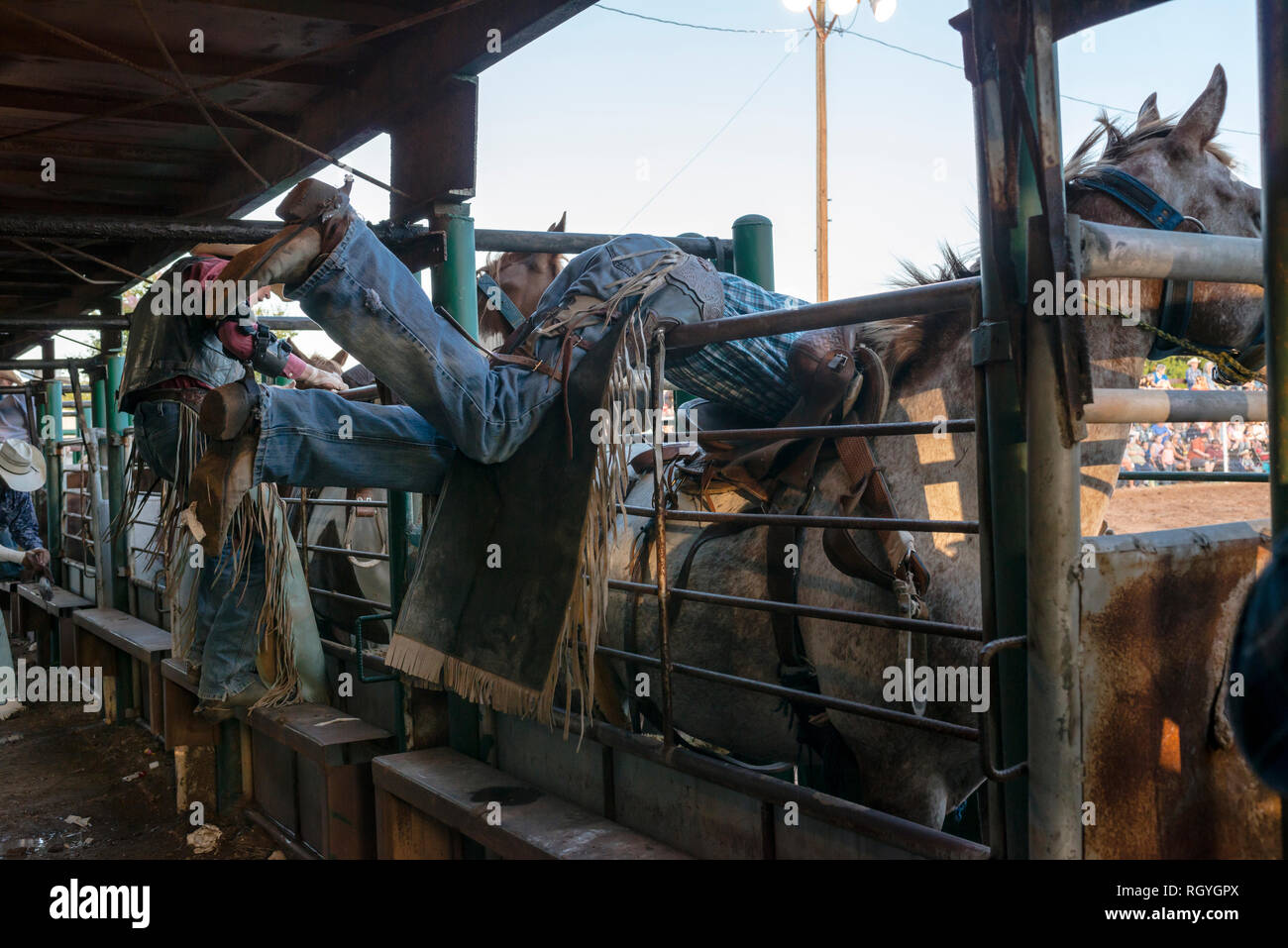 Vaqueros De Texas Fotos e Imágenes de stock - Página 9 - Alamy