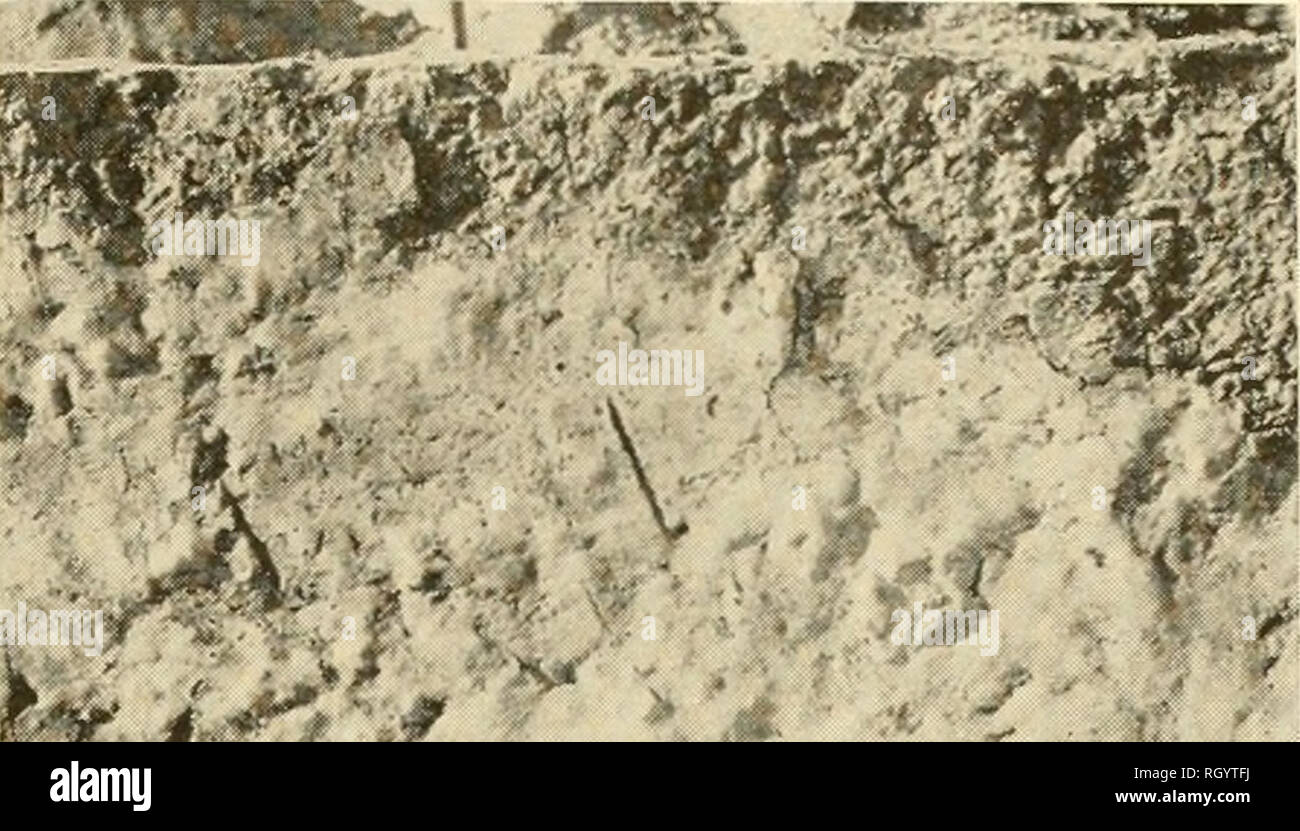 Boletin Etnologia I J Tw W A Bss A La Construccion De La Pared Mostrando Los Nodulos D El Yeso En La Pared Por Favor Tenga En Cuenta Que Estas Imagenes Son Extraidas Boletin Etnologia I J Tw W A Bss A La Construccion De La Pared Mostrando Los Nodulos D El Yeso En La Pared Por Favor Tenga En Cuenta Que Estas Imagenes Son Extraidas