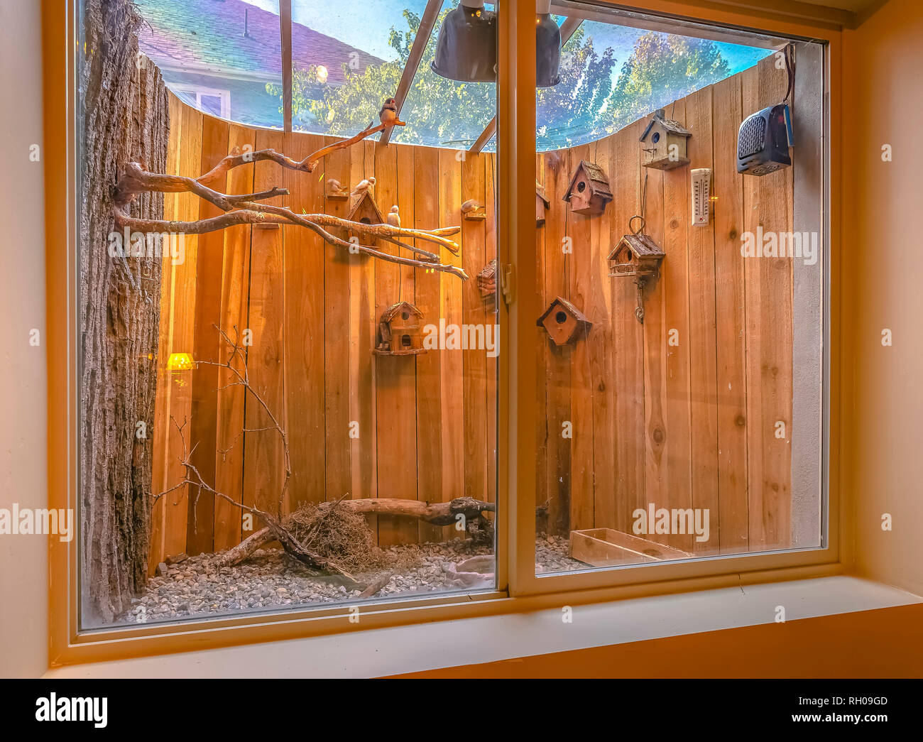 Las aves dentro de una jaula espaciosa con techo de cristal Fotografía de  stock - Alamy