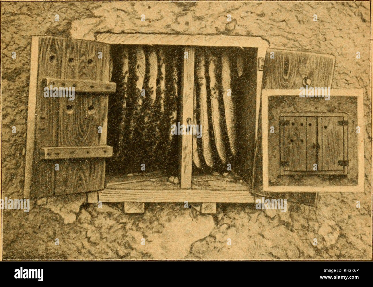 British Bee Journal Amp Asesor De Los Apicultores Las Abejas