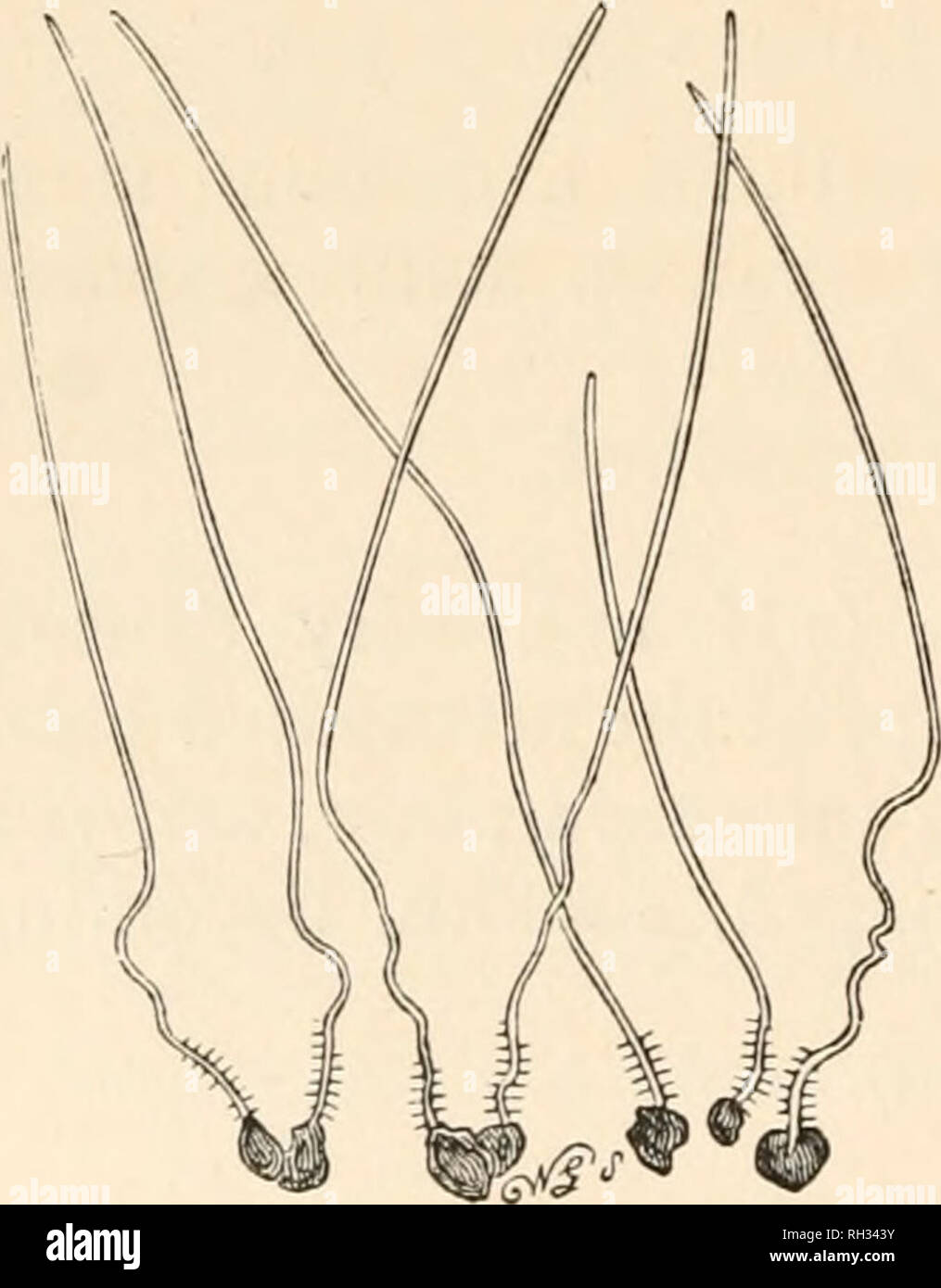 Hym fotografías e imágenes de alta resolución - Página 3 - Alamy