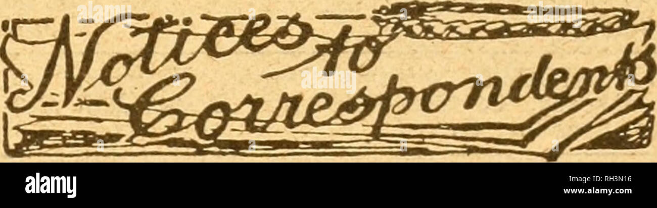 British Bee Journal Amp Asesor De Los Apicultores Las Abejas