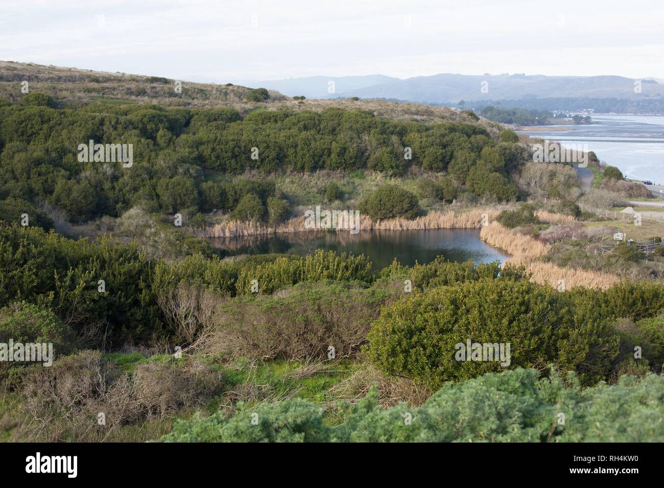 Agujero en la cabeza, el sitio para una planta de energía nuclear que fue detenido por los activistas, en la Bodega Jefe, California, USA. Foto de stock