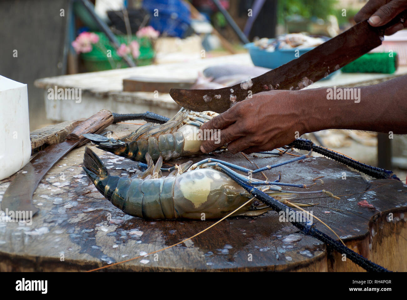 Cocinar cortar la langosta en el mercado de pescado, Sri Lanka. Foto de stock