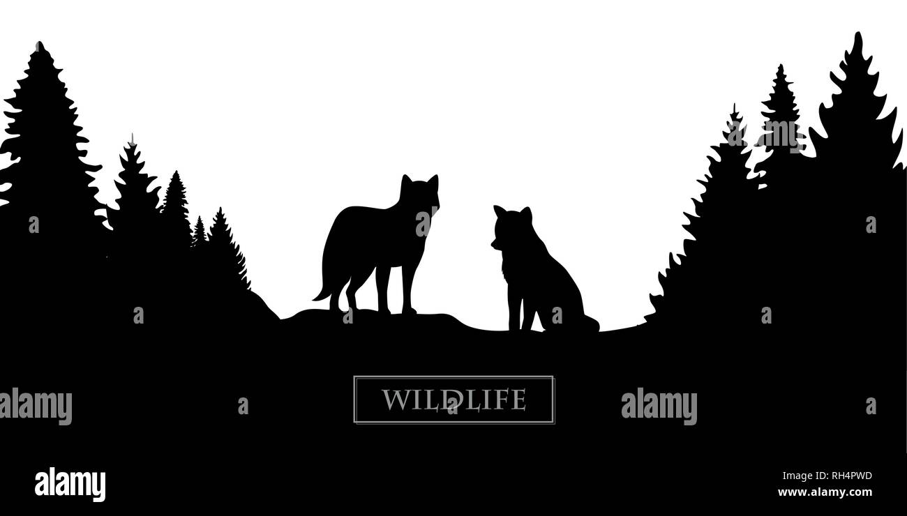 Vida silvestre lobo silueta en blanco y negro de paisajes forestales ilustración vectorial EPS10 Ilustración del Vector