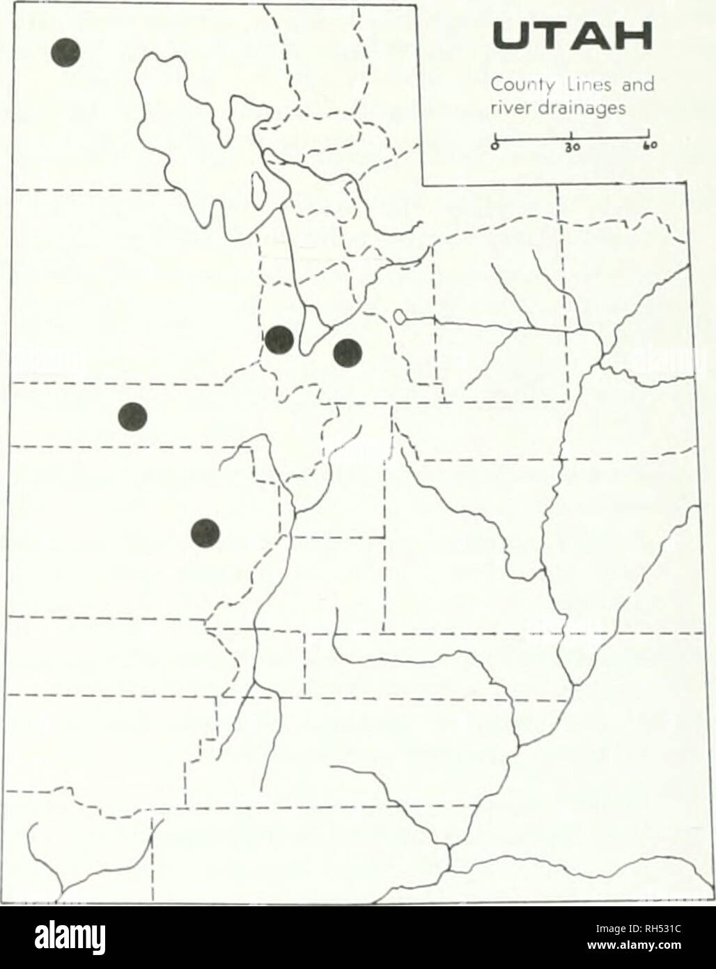. Brigham Young University Science Bulletin. Biología -- publicaciones periódicas. Colocar;. 10. Cryptmttha uffiiii.s Las características más evidentes de esta especie son los obhquely nutlets comprimido que se traducen en la posición excéntrica de la ranura. Caché Co., a 10 millas de Smithfield Canyon, Hobson &Amp; Piranian 13775 (UTC); Inten'ale, Spring Hollow, B .Iaguire 1.38.39 (UTC); White Pine Lake, B. Maguire 16256 (UTC); Logan Canyon, el resorte hueco, B. Ma- guire 13778 (UTC); Daggett Co., Flaming Gorge, L. William.s 473 (UTC); Duchesne Co., 10 millas al norte de Altonah, J. Brotherson 646 (BRY); Juab Co., Gran Foto de stock