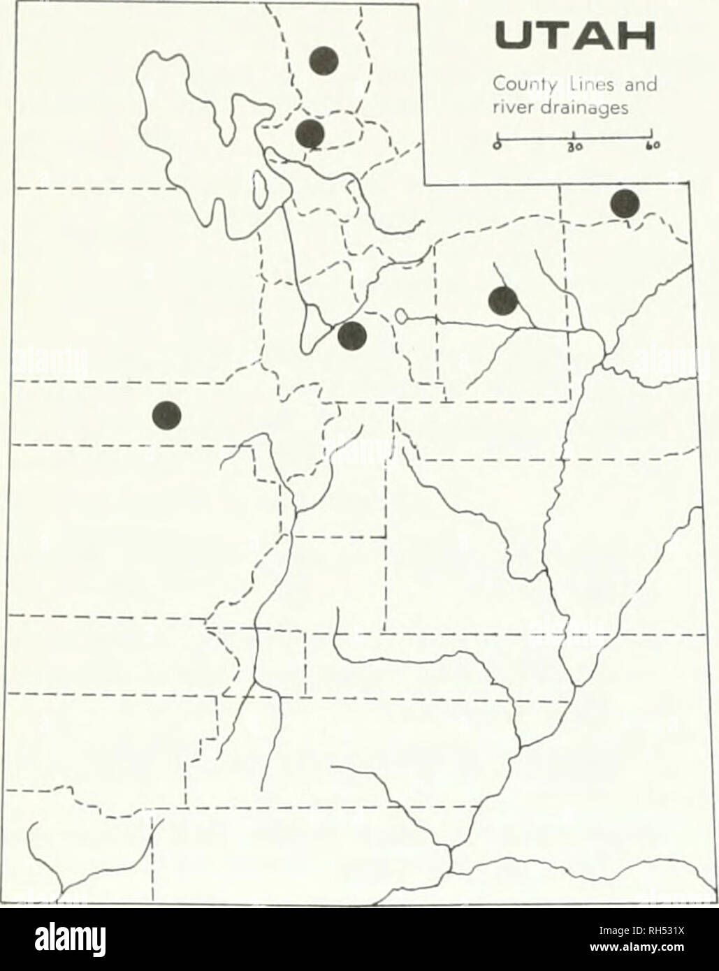 . Brigham Young University Science Bulletin. Biología -- publicaciones periódicas. 12 Jóvenes Brioham Univebsitv Science Bulletin County líneas y drenajes fluviales I 1 30 b". Colocar;. 10. Cryptmttha uffiiii.s Las características más evidentes de esta especie son los obhquely nutlets comprimido que se traducen en la posición excéntrica de la ranura. Caché Co., a 10 millas de Smithfield Canyon, Hobson &Amp; Piranian 13775 (UTC); Inten'ale, Spring Hollow, B .Iaguire 1.38.39 (UTC); White Pine Lake, B. Maguire 16256 (UTC); Logan Canyon, el resorte hueco, B. Ma- guire 13778 (UTC); Daggett Co., Flaming Gorge, William L. Foto de stock