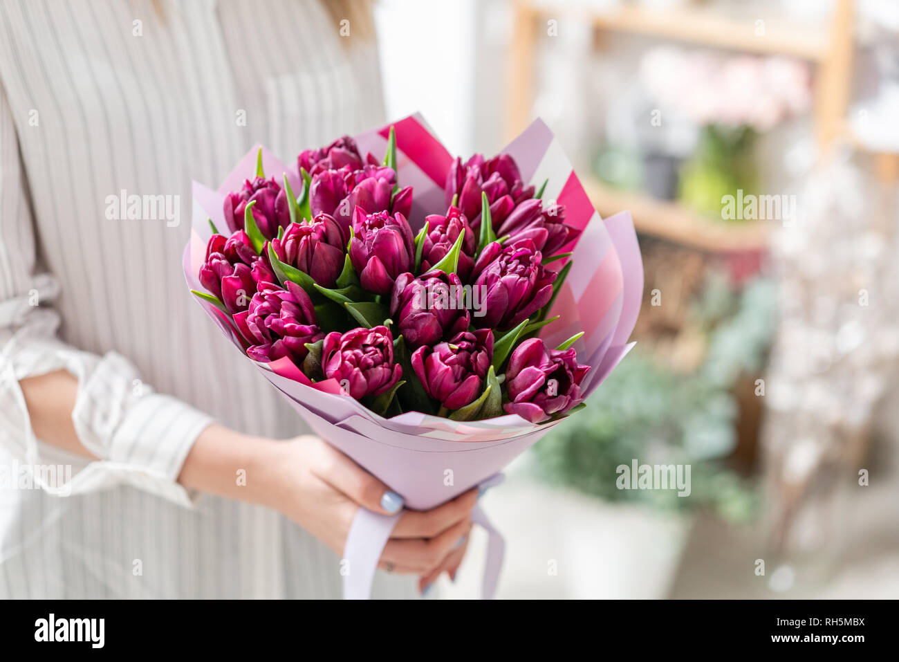 Ramo de tulipanes violeta. Las flores de la primavera del holandés jardinero. Concepto de una floristería en una tienda de flores. Papel tapiz. Foto de stock