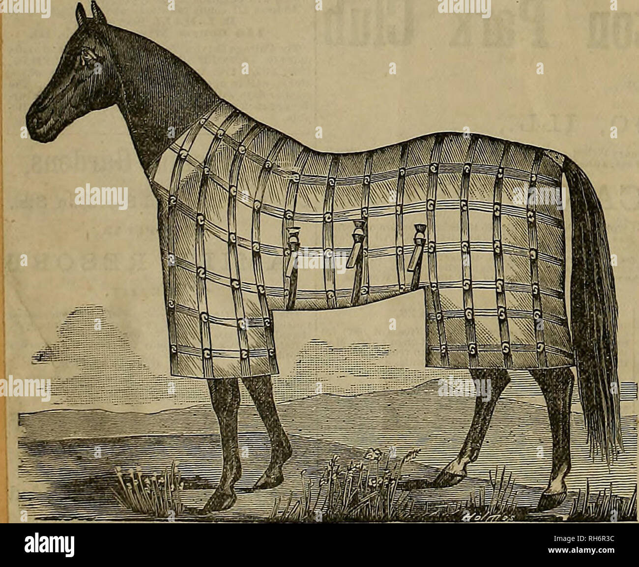 bolsagage weight limit